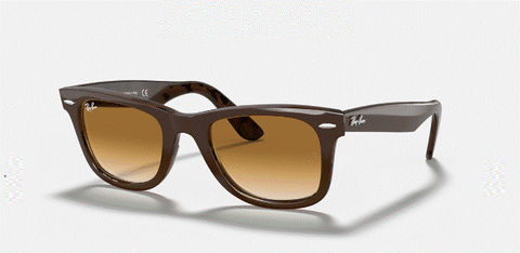RAYBAN WAYFARER